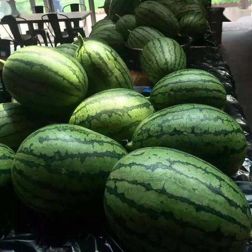 吃瓜团18号,揭秘娱乐圈最新热点事件