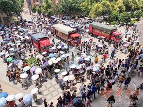 学校大型吃瓜现场,大型吃瓜现场，揭秘校园风云录