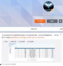黑客吃瓜曝光软件,软件漏洞曝光背后的惊心动魄