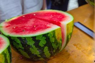 大学932吃瓜,一场别开生面的吃瓜盛宴