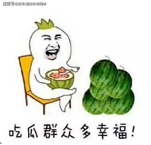 打麻将吃瓜,吃瓜群众围观牌桌上的智慧较量