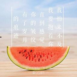 吃瓜 忠诚家族,揭秘网络舆论背后的情感纠葛