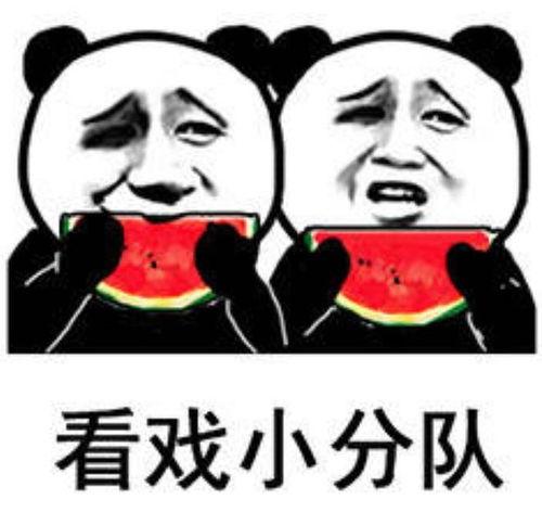 吃瓜吃掉了表情包,表情包中的欢乐与反思