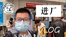 进厂打工吃瓜,见证时代变迁的“吃瓜”故事