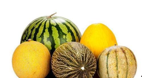 常吃瓜的种类图片