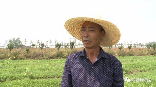 沭阳县吃瓜,探寻当地特色美食之旅