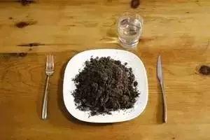 大洋吃土瓜,一场奇妙的海洋与陆地交融之旅